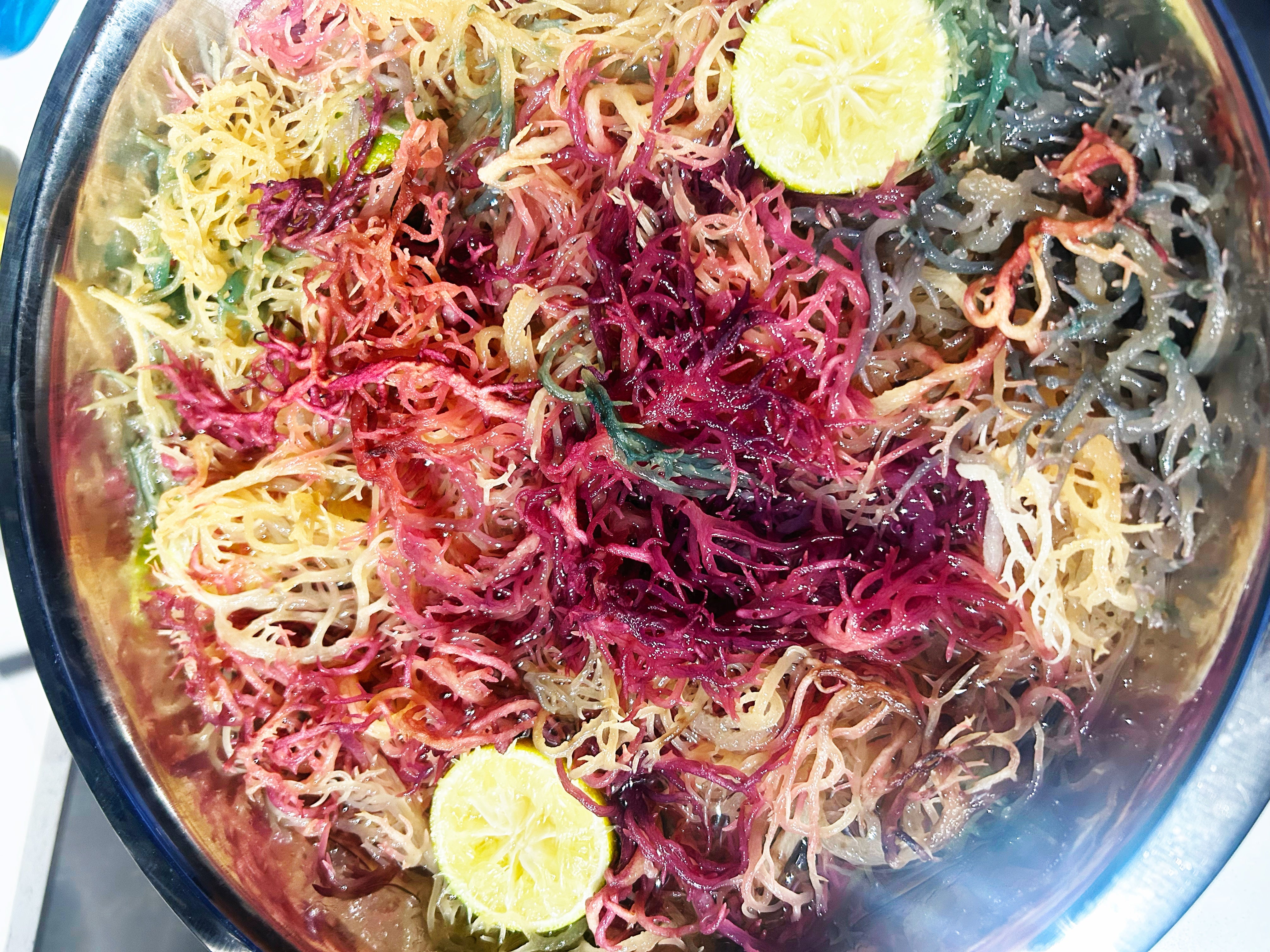 Raw sea moss and frozen gel pouch - two ingredients zero compromise